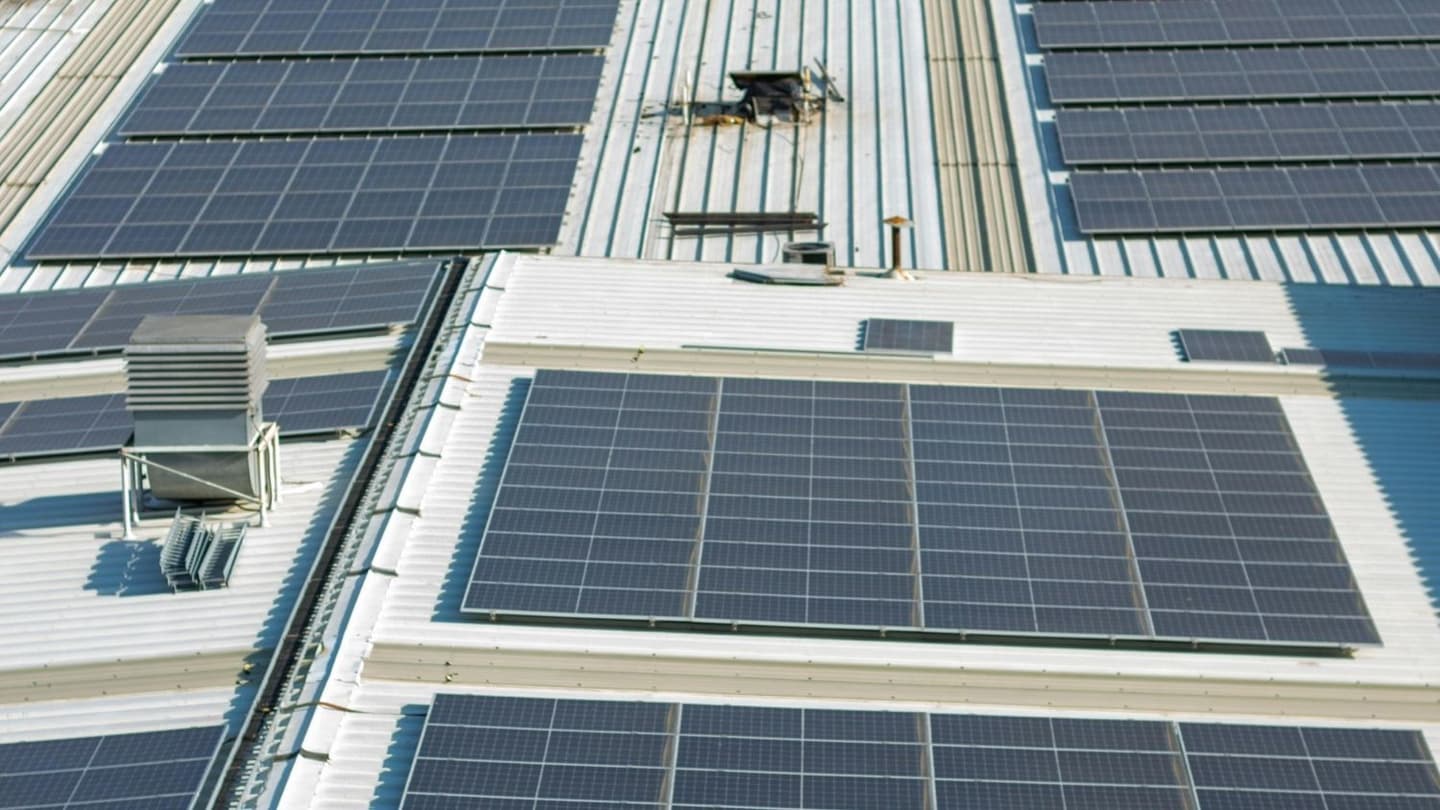 Grid-connected rooftop solar panels on government buildings for PEDA’s 50 MWp solar tender in Punjab.