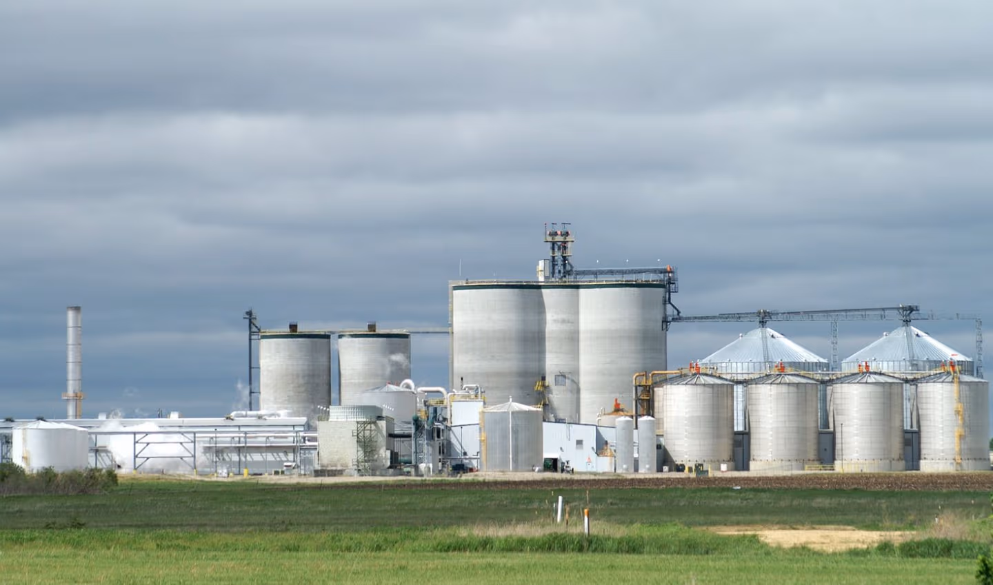 Sugar-based ethanol bids not allowed in 2026-27