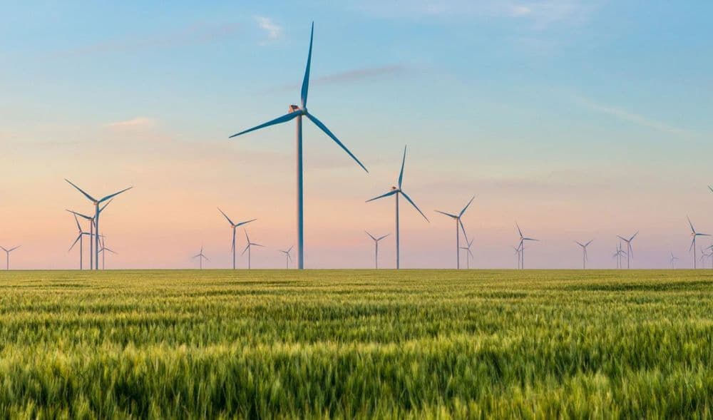 India seeks $220B green energy funding by 2030: MNRE Secretary