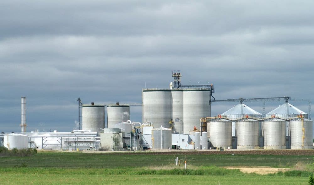 No Sugar-based Ethanol Bids Allowed in 2026-27 OMCs Tender