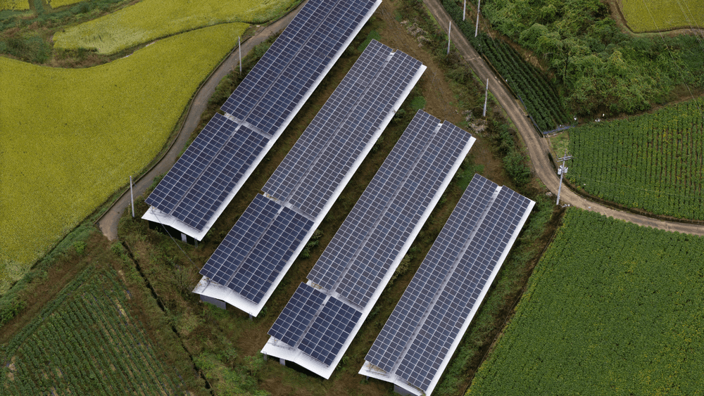 ACME Solar Commissions 67 MW Solar, 300 MWh BESS Capacity in Rajasthan