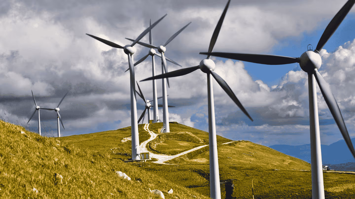 India’s wind energy sector has visibility of around 85 GW capacity before 2030, according to Suzlon’s Girish Tanti.
