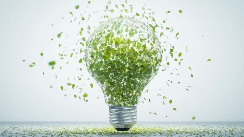 Bioenergy, Data and Grid Readiness Shape Day 3 of India Energy Week 2026